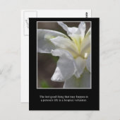 Carte Postale Le bien d'un volontaire de l'hospice (Devant / Derrière)