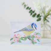 Carte Postale Le Blue Tit au printemps (Debout devant)