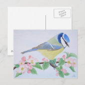 Carte Postale Le Blue Tit au printemps (Devant / Derrière)