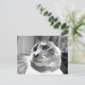 Carte Postale Le blues fascinant de la bulle (Debout devant)