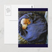 Carte Postale Le Bo Ball (Devant / Derrière)