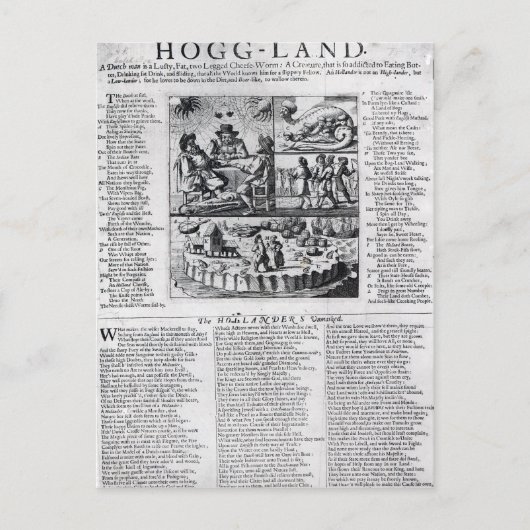 Carte Postale Le Boare hollandais disséqué (Devant)