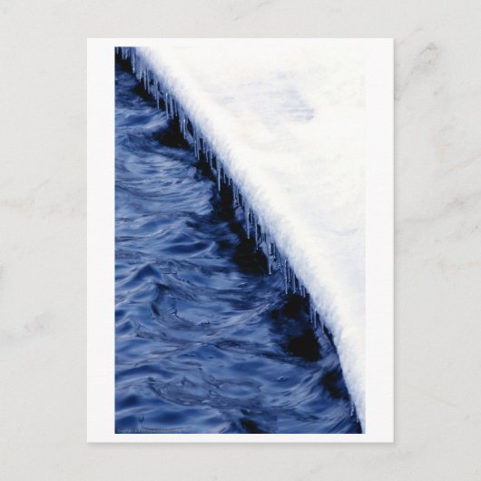 Carte Postale Le bord de la rivière (Devant)