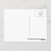 Carte Postale Le Bouquiniste (Dos)