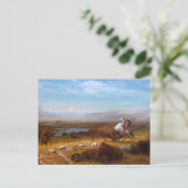 Carte Postale Le bout de Buffalo (Debout devant)