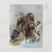 Carte Postale Le Boykin Spaniel (Devant)