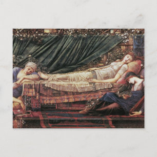 Carte Postale Le Briar Rose : La puissance Rose