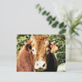 CARTE POSTALE LE BULL (Debout devant)