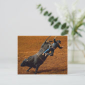 Carte Postale Le Bull Rider (Debout devant)