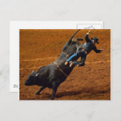 Carte Postale Le Bull Rider (Devant / Derrière)