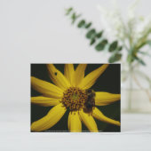Carte Postale Le Bumble et le Tournesol (Debout devant)