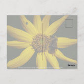 Carte Postale Le Bumble et le Tournesol (Dos)