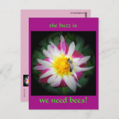 Carte Postale le buzz sur les abeilles (Devant / Derrière)