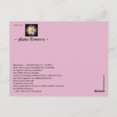 Carte Postale le buzz sur les abeilles (Dos)