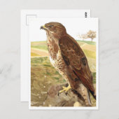 Carte Postale Le buzzard (Devant / Derrière)