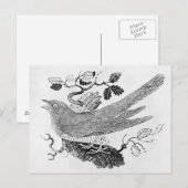 Carte Postale Le cacao (Devant / Derrière)
