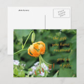 Carte Postale Le cadeau que vous avez reçu (Devant / Derrière)