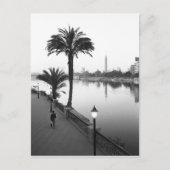Carte Postale Le Caire Egypte, le long du Nil (Devant)