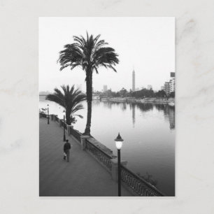 Carte Postale Le Caire Egypte, le long du Nil