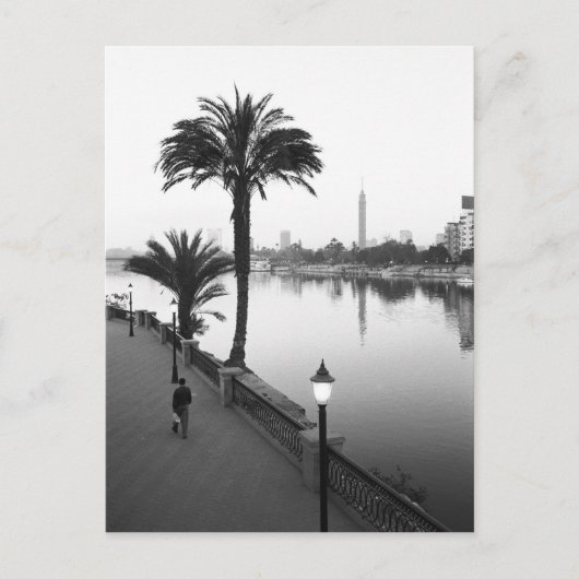 Carte Postale Le Caire Egypte, le long du Nil (Devant)
