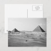 Carte Postale Le Caire Égypte, Pyramides de Gizeh (Devant / Derrière)