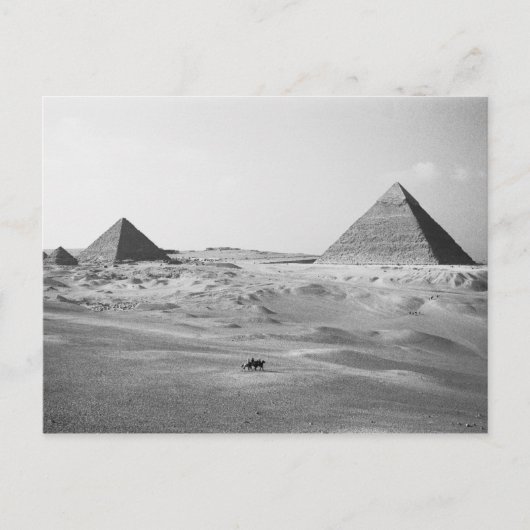 Carte Postale Le Caire Égypte, Pyramides de Gizeh (Devant)