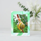 Carte Postale Le calme (Debout devant)