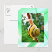 Carte Postale Le calme (Devant / Derrière)