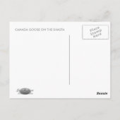 CARTE POSTALE LE CANADA PREND LA SHASTA (Dos)