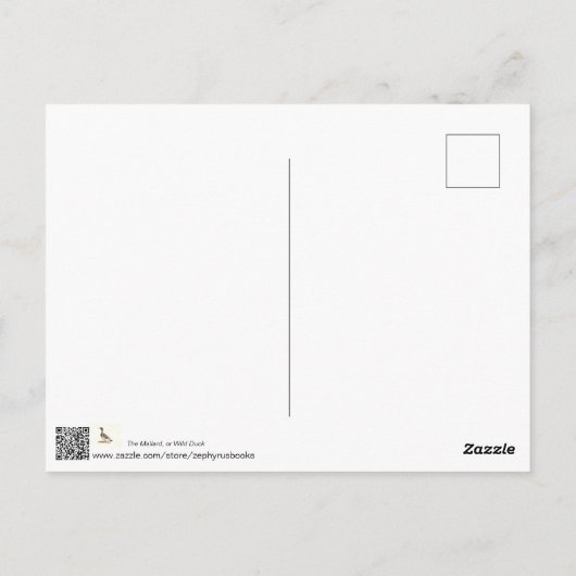 Carte Postale Le canard colvert ou sauvage (Anas platyrhynchos) (Dos)