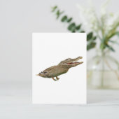 Carte Postale Le canard croisé (Debout devant)