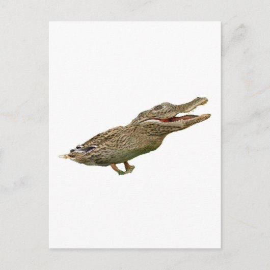 Carte Postale Le canard croisé (Devant)