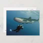 Carte Postale Le Canard Pour La Couverture ? (Devant / Derrière)