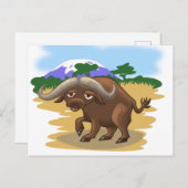 Carte Postale Le Cap Buffalo (Devant / Derrière)