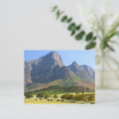 Carte Postale Le Cap, Cap-Occidental, Afrique du Sud (Debout devant)