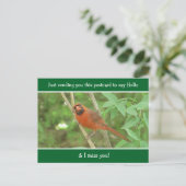 Carte Postale Le cardinal dit Bonjour et Mlle Vous (Debout devant)