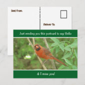 Carte Postale Le cardinal dit Bonjour et Mlle Vous (Devant / Derrière)