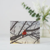 Carte Postale Le Cardinal, Le Matin, Pense À Vous (Debout devant)