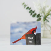 Carte Postale Le cardinal rouge sur le Merci en bois (Debout devant)