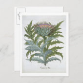 Carte Postale Le Cardoon, du "Hortus Eystettensis" de Bas (Devant / Derrière)