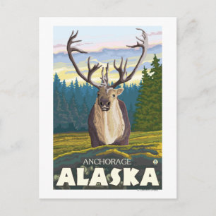 Carte Postale Le caribou dans la nature - Anchorage, Alaska