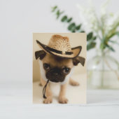 Carte Postale Le Carlin Cowboy Puppy (Debout devant)