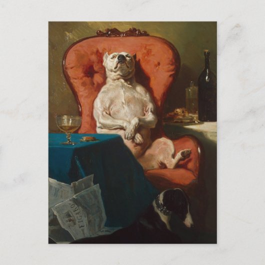 Carte Postale Le Carlin Dogfather Don Smug, alias Carlin Daddy (Devant)