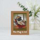 Carte Postale Le Carlin est là ! (Debout devant)