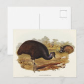 Carte Postale Le Cassowary de Bennett par Elizabeth Gould (Devant / Derrière)
