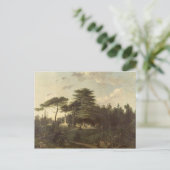 Carte Postale Le cèdre du Liban dans le Jardin des Plantes (Debout devant)