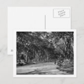 Carte Postale Le centre commercial de Central Park à New York (Devant / Derrière)