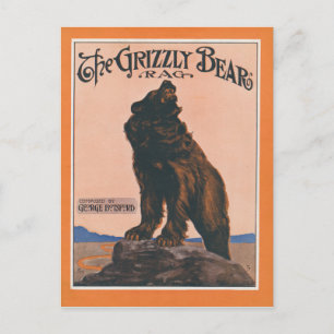 Carte Postale Le cerceau de l'ours grizzli