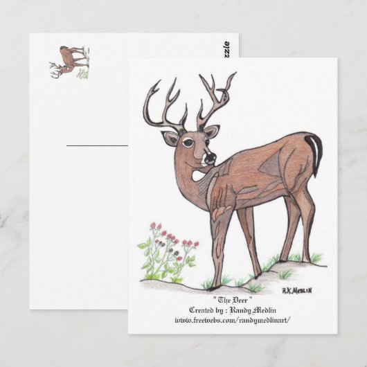 Carte postale " Le Cerf " (Devant / Derrière)