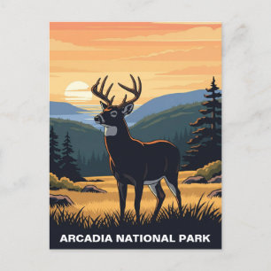 Carte Postale Le cerf dans le Parc national d'Arcadia